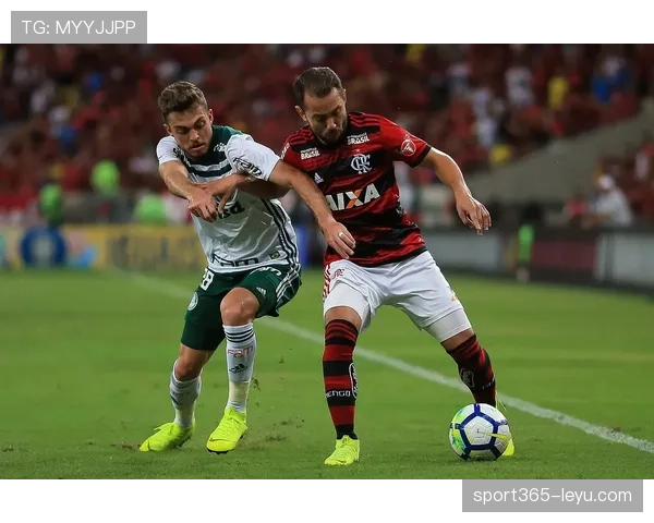 凯泽比赛节奏解析：关键表现揭示球队制胜之道