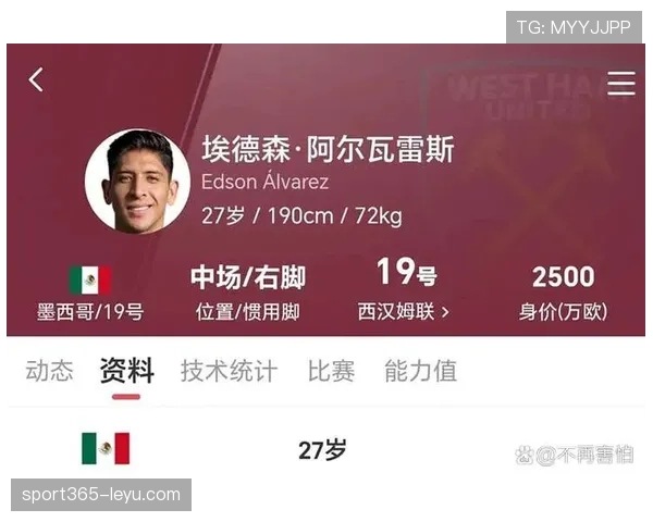 西汉姆联聚焦未来布局：深度解析铁锤帮转会策略与潜力新星引援目标