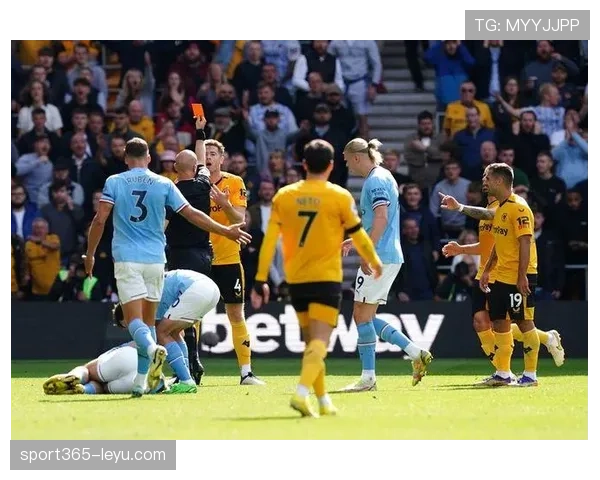 霍杰状态火热,助英超球队冲击佳绩 霍杰状态火热,助英超球队冲击佳绩